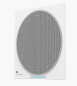 Preview: AISpeech MC10