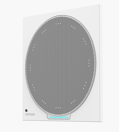 Preview: AISpeech MC10