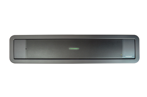 Preview: AISpeech MK300