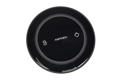 Preview: AISpeech B100-CR