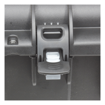 Preview: Williams AV CCS 054