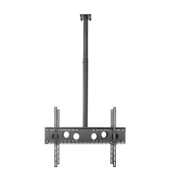 t&mMount DH BacktoBack-L