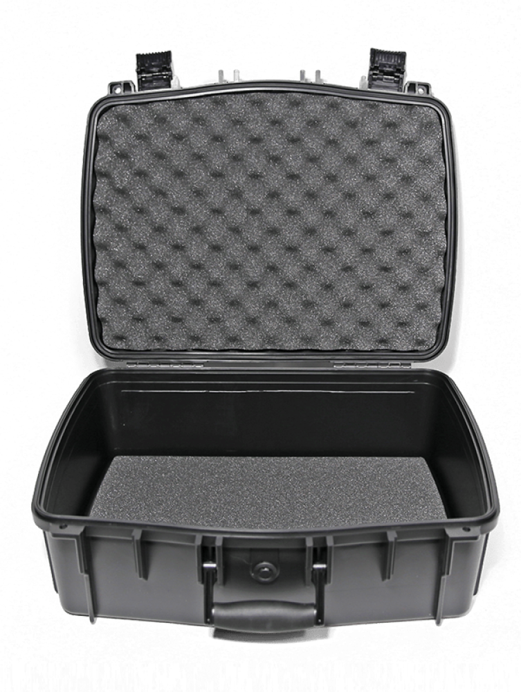 Williams AV DWS INT 4 400 RCH