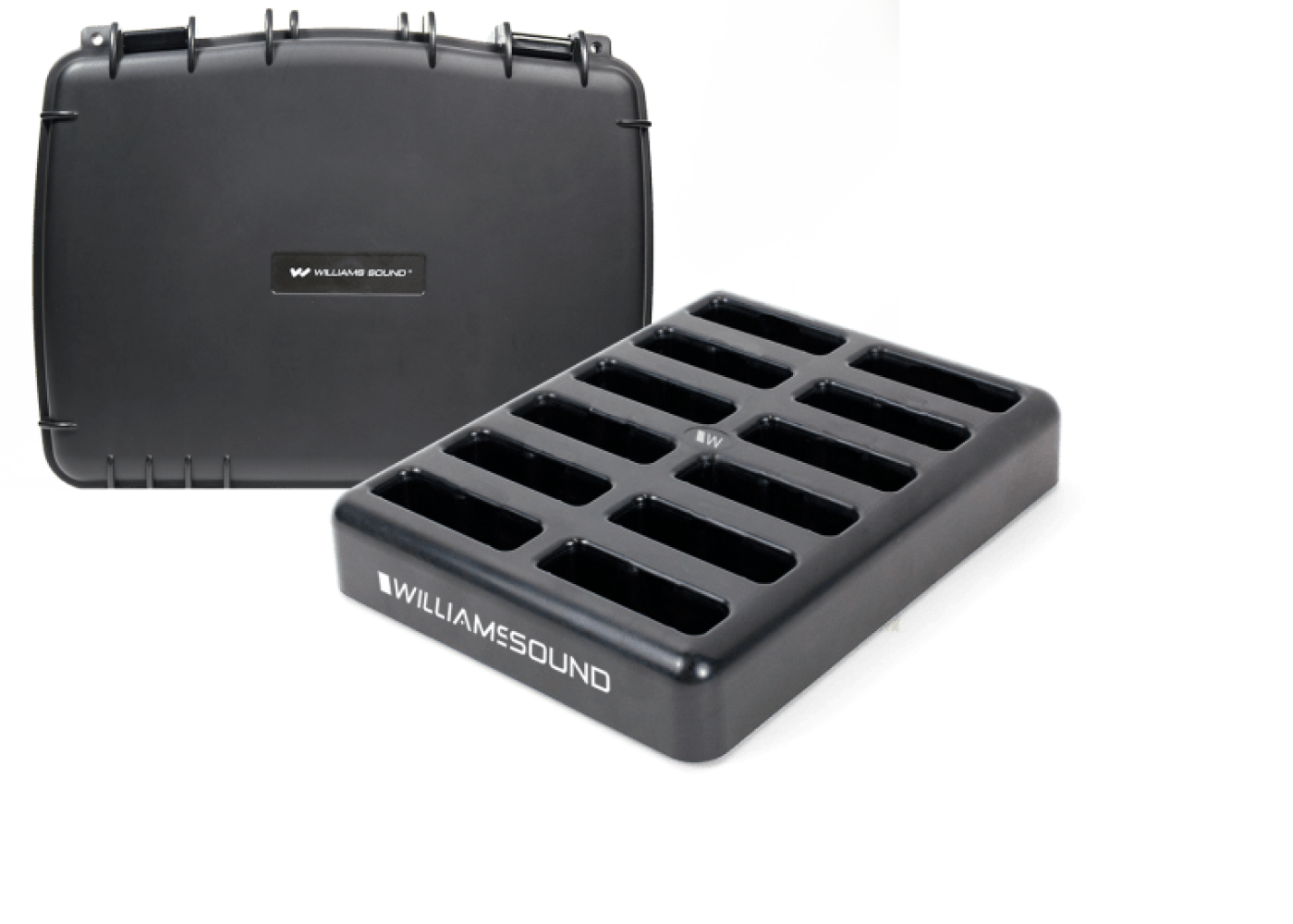 Williams AV DWS TGS 11 400 RCH